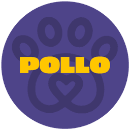 Pollo